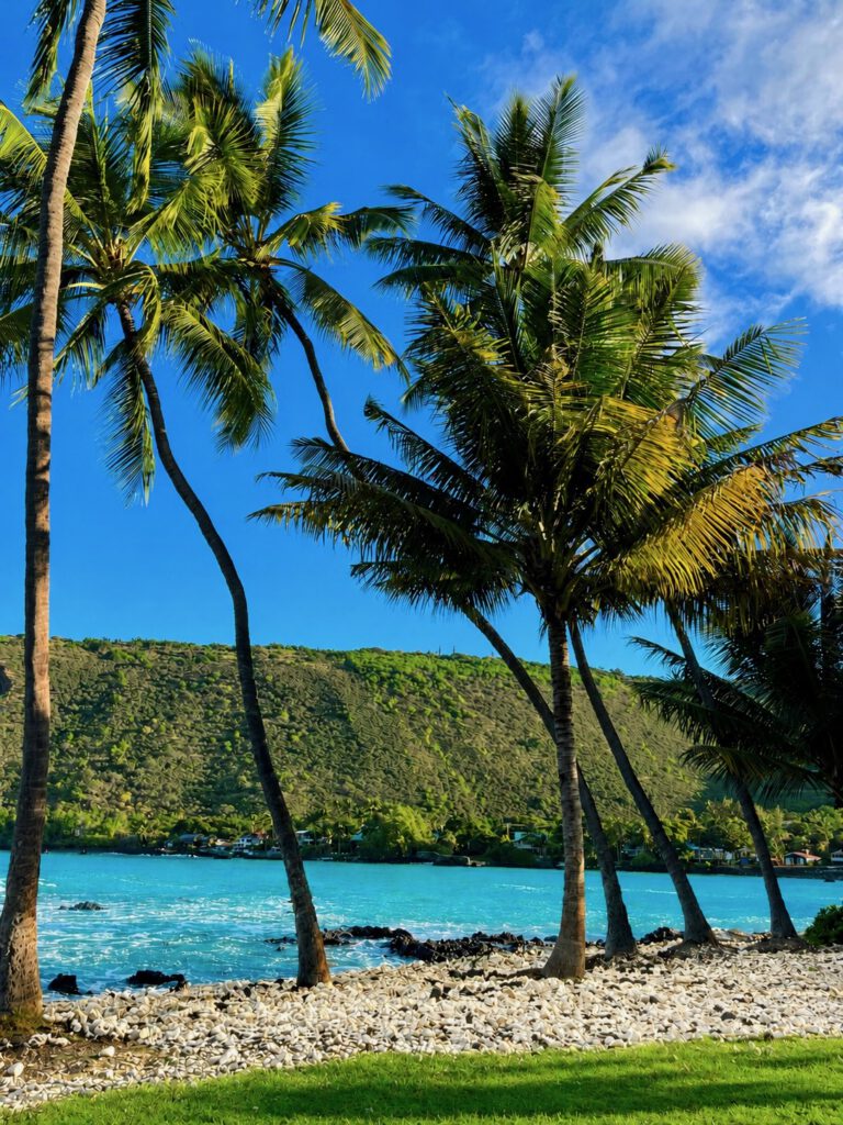 Manini Beach on Kealakekua Bay